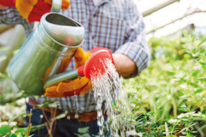 gardener gardener