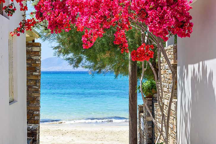 Νάξος