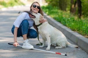 σκύλοι βοήθειας