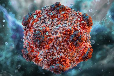 hantavirus hantavirus